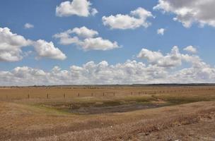 paisagem rural de wyoming com um campo e um rebanho pastando foto