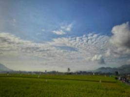 fundo abstrato desfocado de campo de arroz e montanha com céu azul ao fundo foto