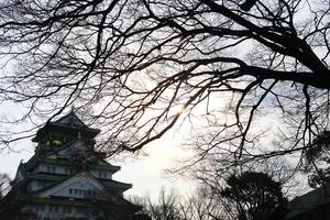 Castelo de Osaka em Osaka, Japão foto