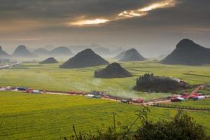 campo de flores de colza amarela com a névoa em luoping, china foto