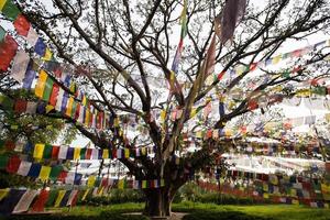 bandeiras de oração budista em lumbibi, nepal foto