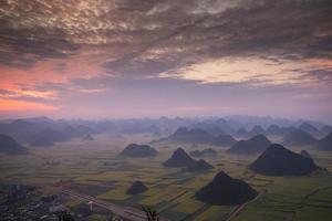 campo de flores de colza amarela em luoping, china foto