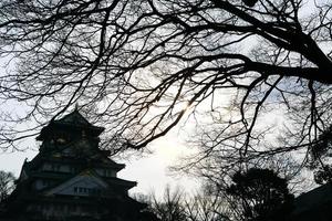 Castelo de Osaka em Osaka, Japão foto