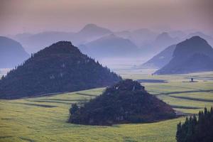 campo de flores de colza amarela com a névoa em luoping, china foto