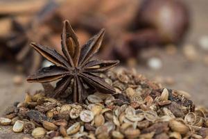 especiarias, deitado sobre uma superfície de madeira closeup foto