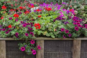 cerca de madeira com flores foto