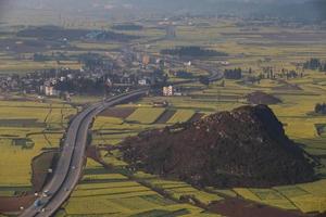 campo de flores de colza amarela em luoping, china foto