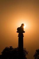 pilar ashoka por do sol em kutagarasala foto