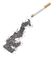 cinzas em forma de mônaco e um cigarro. (série) foto