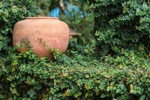 vaso ou plantador com plantas foto