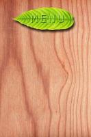 folha verde do menu na parede de madeira. foto