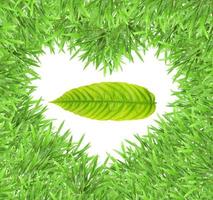 moldura de foto de grama de coração verde isolado com folha