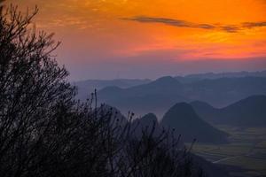 campo de flores de colza amarela em luoping, china foto