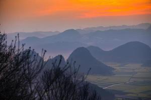 campo de flores de colza amarela em luoping, china foto