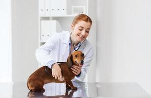 médico com estetoscópio e cachorro na clínica veterinária foto