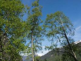 flam e o aurlandsfjord na noruega foto