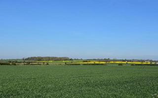 terras agrícolas cênicas com grandes campos verdes e culturas em crescimento foto