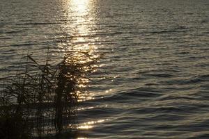 lago do pôr do sol, close-up foto