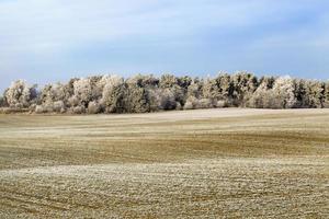 paisagem de inverno com neve foto