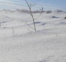 neve flutua no inverno foto