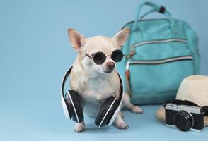 cachorro chihuahua de cabelo curto marrom usando óculos escuros e fones de ouvido no pescoço, sentado no fundo azul com acessórios de viagem, câmera, mochila e chapéu de palha. viajando com conceito animal. foto