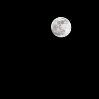 timelapse da lua, lapso de tempo de ações - ascensão da lua cheia no céu escuro da natureza, noite. lapso de tempo do disco da lua cheia com luz da lua no céu escuro à noite. imagens de vídeo gratuitas de alta qualidade ou timelapse foto