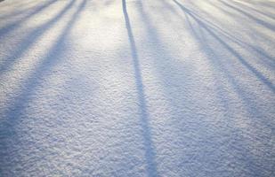 sombras das árvores foto