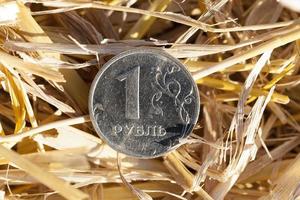 moedas russas em um campo agrícola foto