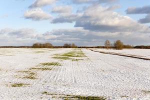 campo coberto de neve foto