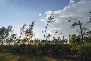 árvores quebradas após uma tempestade foto