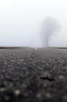 estrada de asfalto no nevoeiro foto