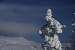 manhã ensolarada de inverno nas montanhas de sheregesh na pista de esqui foto