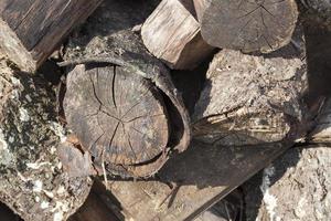 logs antigos, close-up foto