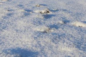 após a queda de neve, campo foto