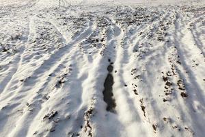 neve cai no chão foto