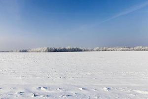 clima frio de inverno após a queda de neve foto