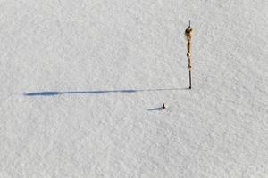 deslizamentos de neve profundos foto