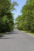 estrada de asfalto da floresta foto