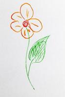 flor desenhada com lápis foto