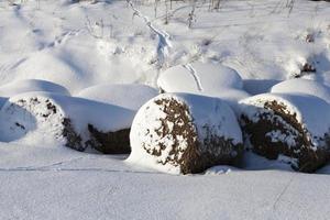 fenômenos naturais associados à temporada de inverno, clima gelado pós-neve foto