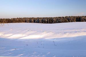 o campo coberto de neve foto