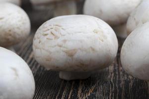 cogumelos não lavados champignon durante o cozimento foto