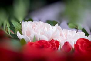 buquê de presente com rosas vermelhas e cravos cor de rosa foto