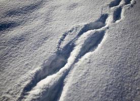 pegadas em montes de neve depois de caminhar foto