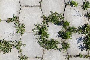 uma estrada feita de telhas de concreto foto