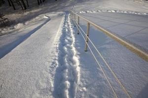 pegadas em montes de neve depois de caminhar foto