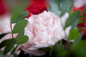 buquê de presente com rosas vermelhas e cravos cor de rosa foto