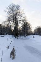 rio coberto de gelo e neve foto