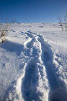 pegadas em montes de neve depois de caminhar foto