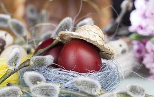 salgueiro florido, ovos para a celebração da páscoa foto